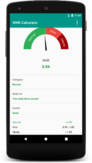 Waist To Hip Ratio Calculator: To Reduce Belly Fat Screenshot 2