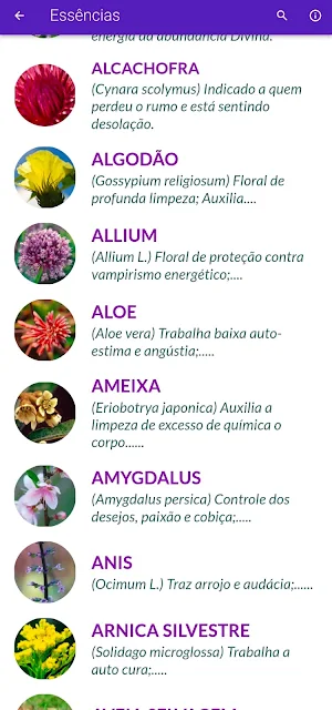 Florais de Saint Germain BETA Screenshot 1