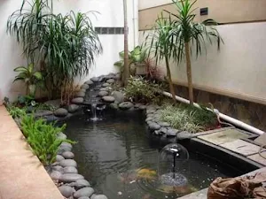 Fish Of Ponds Design Screenshot 2