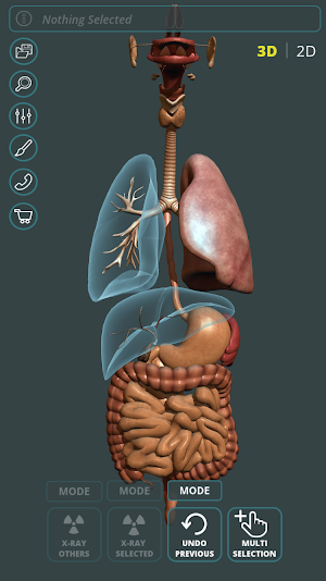 Visual Anatomy 3D | Human Screenshot 3
