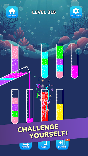 Ball Sort Screenshot 3