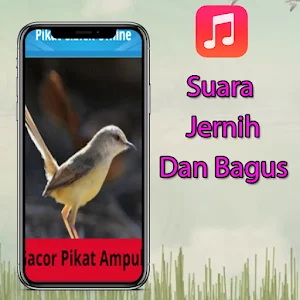 Pikat Burung Ciblek Offline Screenshot 1