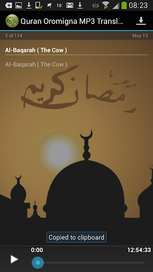 Quran Oromigna MP3 Translation Screenshot 3