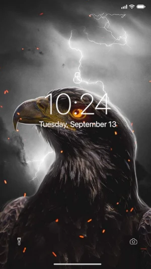 Eagle Wallpaper Screenshot 3
