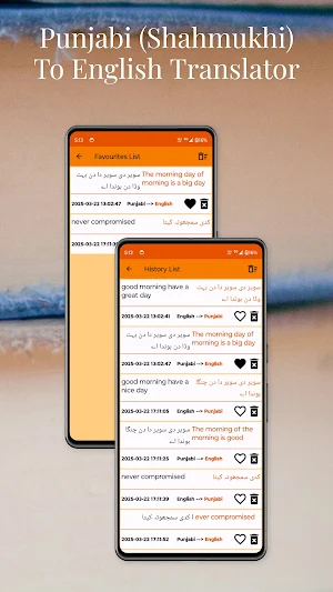 Punjabi Shahmukhi English Tran Screenshot 3