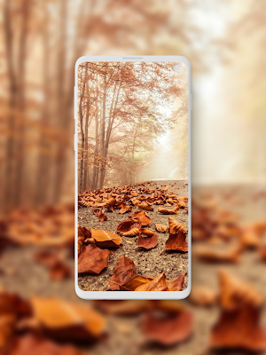 Autumn Wallpaper Screenshot 2
