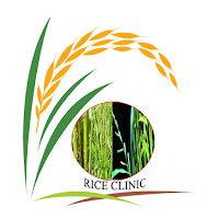 Rice Clinic - Telugu