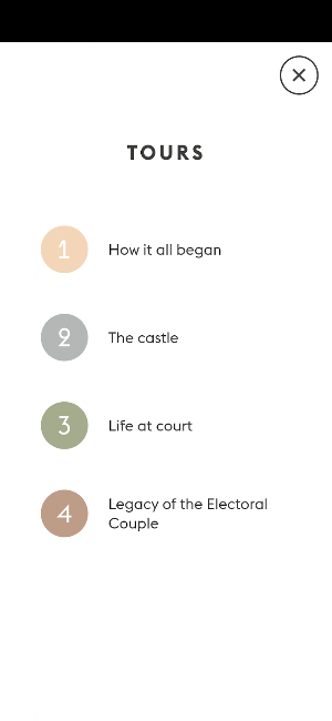 Elector with vision Screenshot 1
