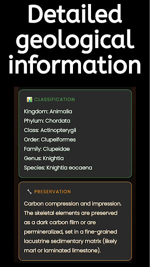 Fossil Id : Fossil Identifier Screenshot 3
