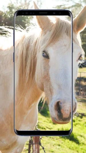 Horse Wallpapers Screenshot 2