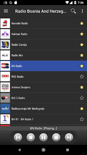 Radio Bosnia and Herzegovina Screenshot 1