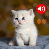 Animal Ringtones & wallpapers