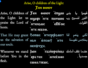 Liturgical Books Screenshot 0
