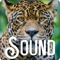 Jaguar Soundboard Ringtones
