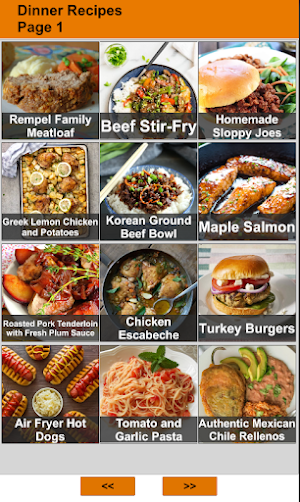 Dinner Recipes : Cookbook App Screenshot 0