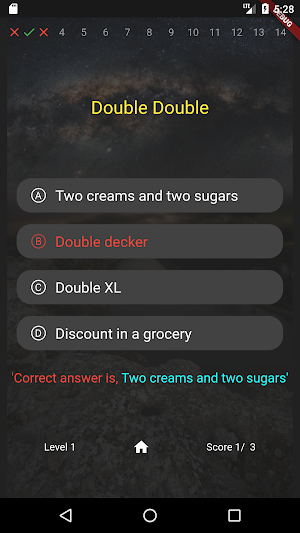Canadian Slang Quiz Screenshot 2