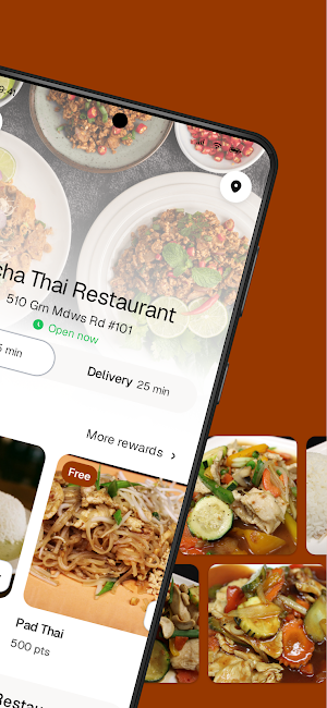 Ocha Thai Restaurant Screenshot 1