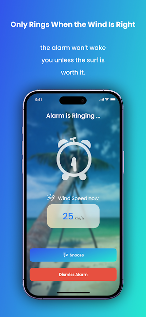 WindUp - Live Wind Alarm Screenshot 3