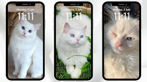 Cat Wallpaper Kawaii Screenshot 0