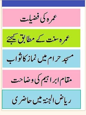 Umrah kaise kare in urdu pdf  عمرہ کیسے ادا کریں Screenshot 0