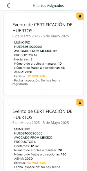 Avo Certificación Screenshot 2