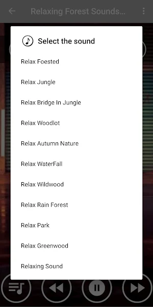 Rain Forest & Bird Sounds Screenshot 1