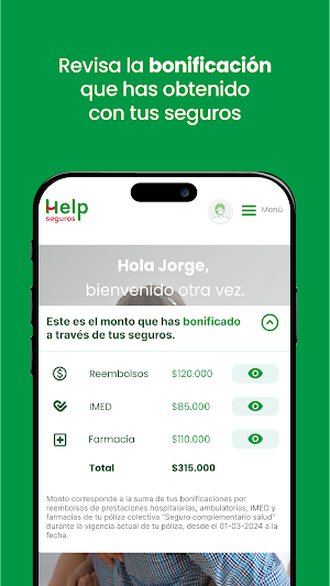 Help Seguros Screenshot 0