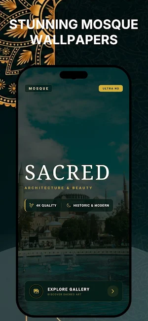 Mosque Wallpapers HD Screenshot 0