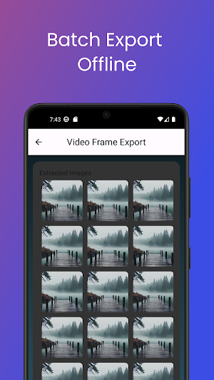 Video to Photo - Vid2Pix Bulk Screenshot 2
