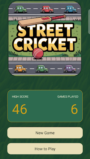 Street Cricket: Road Trip Game Screenshot 0