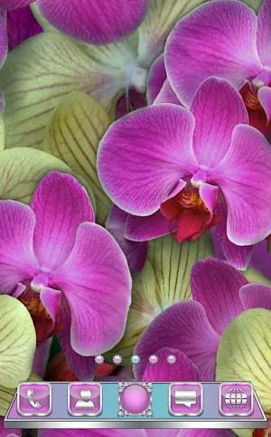 Tender Orchids Go Launcher the Screenshot 1