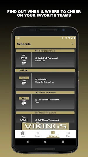 Jasper Vikings Athletics Screenshot 1