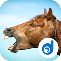 Horse Sounds