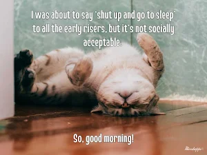 Funny Good Morning & Night Screenshot 1