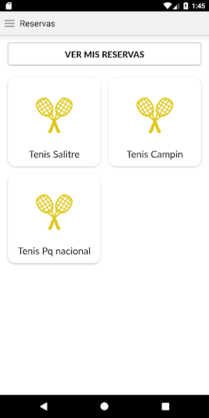 Liga de Tenis Screenshot 0
