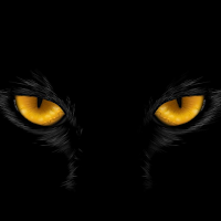Black Wallpaper Aesthetic HD