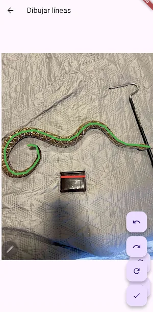 Snake Sizer Screenshot 1