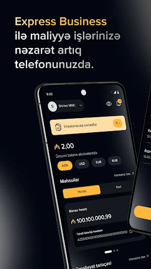 Express Business Screenshot 0