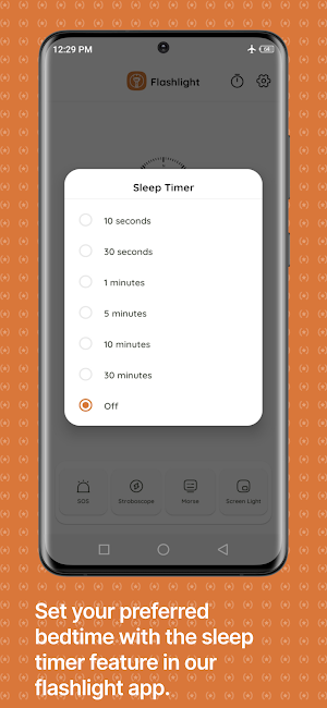 Flashlight Screenshot 2