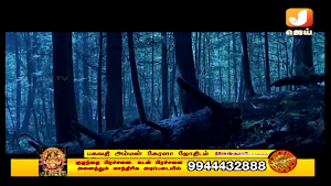 Jaytv TN Screenshot 3