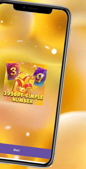 399BDT Simple Number Screenshot 3