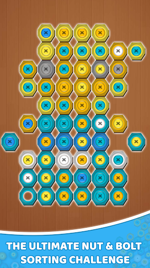Nut & Bolt: Screw Sort Puzzle Screenshot 1