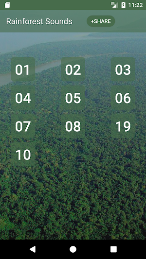 Rainforest Sounds Screenshot 0