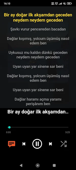Müzik Dinle & İndir Screenshot 3