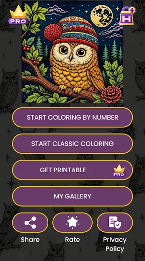 Owl Color by Number Screenshot 1