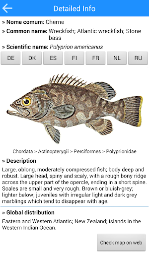 MadeiraFish Screenshot 1