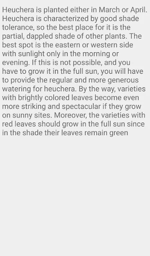 Heuchera Flower Screenshot 3