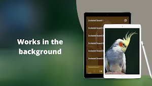Cockatiel Sounds Screenshot 2
