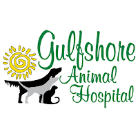 Gulfshore Animal Hospital