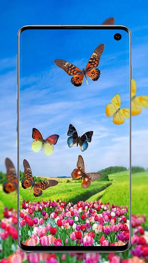 Butterfly Wallpaper - Colorful Butterfly HD & 4k Screenshot 0
